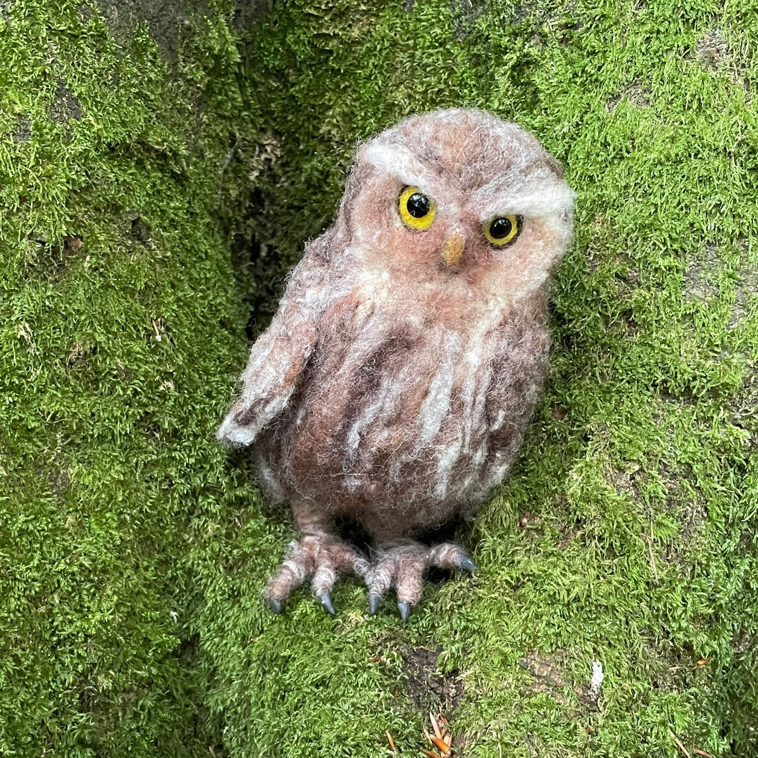 Little Owl Needle Felt Pack (Life Size) - Image 3